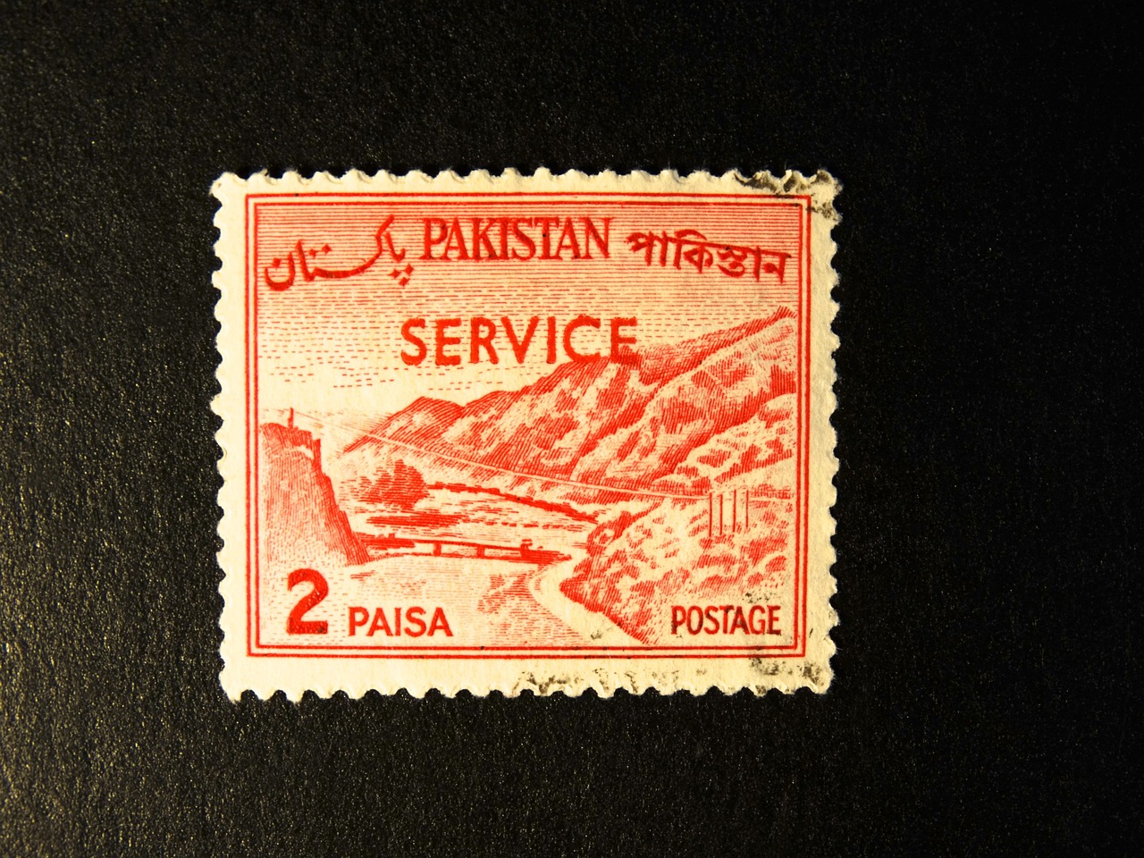 「31省本土增233例」〃31省份新增本土223 747
